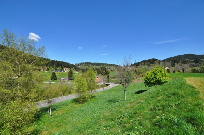 REF1778-68